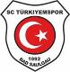 SC Türkiyemspor Saulgau (flex)